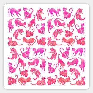 pink cat positions Sticker